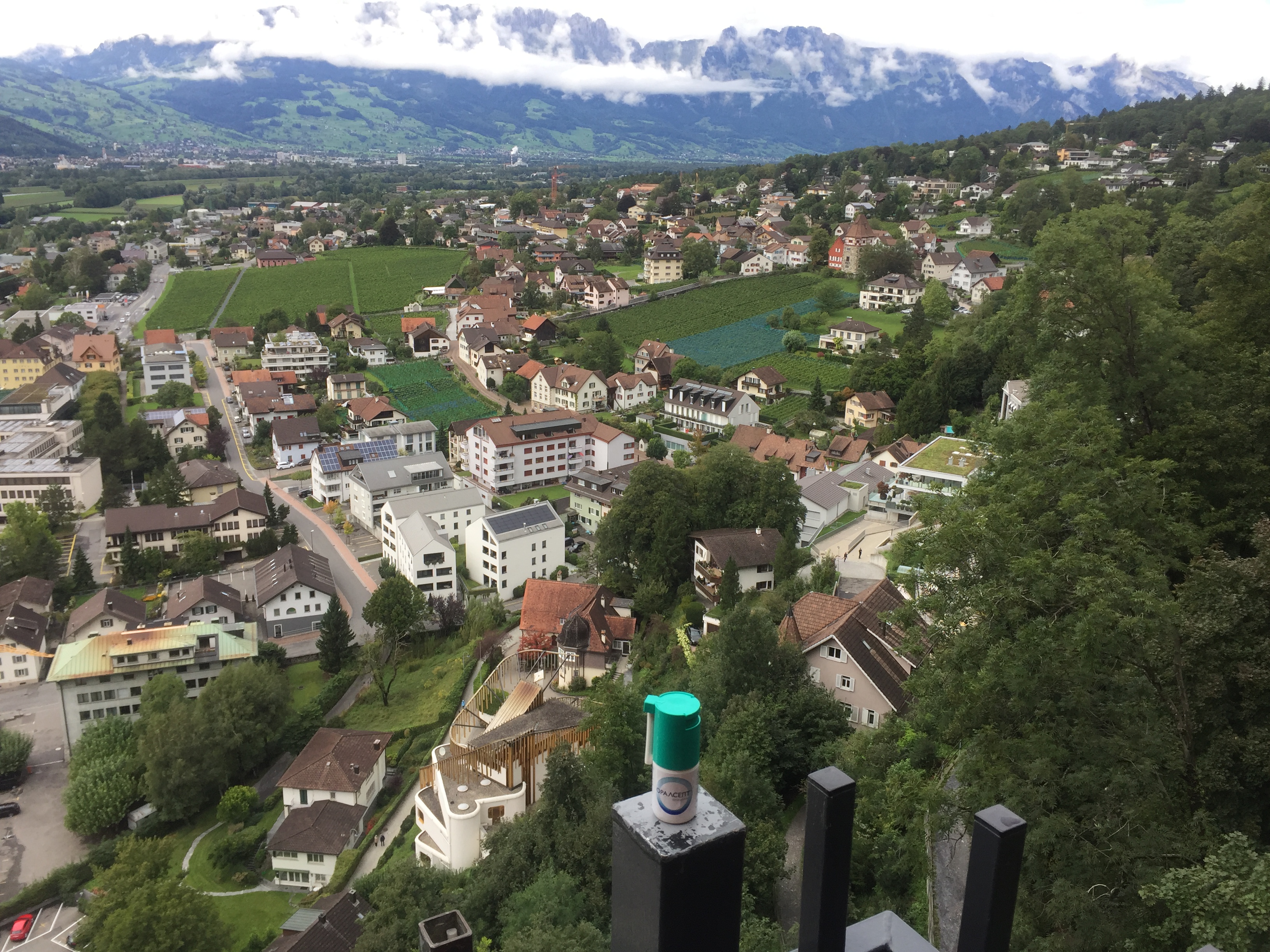 Оралсепт в Лихтенштейне